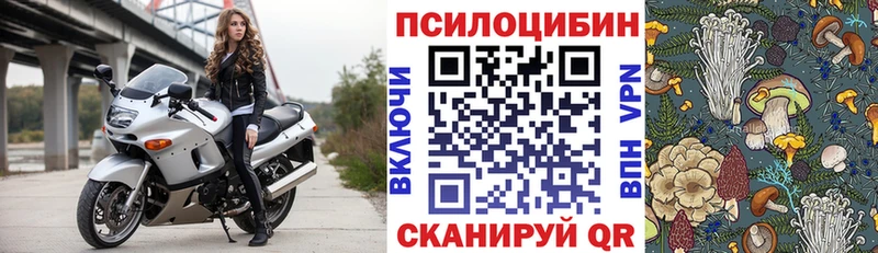 сайты даркнета телеграм  Ульяновск  Псилоцибиновые грибы ЛСД 