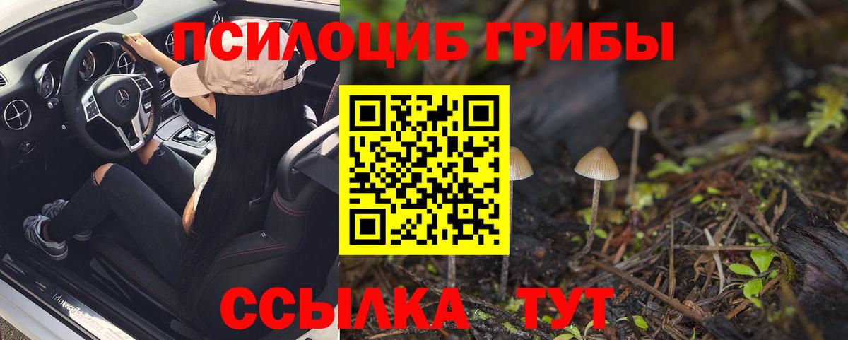 Россия  Псилоцибиновые грибы GOLDEN TEACHER  Вход с VPN  Галлюциногенные грибы Magic Shrooms 